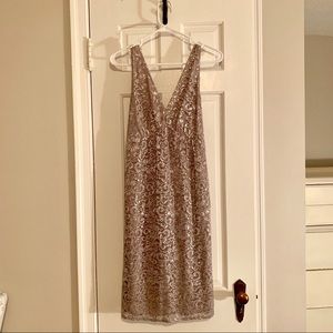 Gorgeous Silver Lace Dress from The Limited